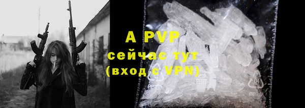 хмурый Горно-Алтайск