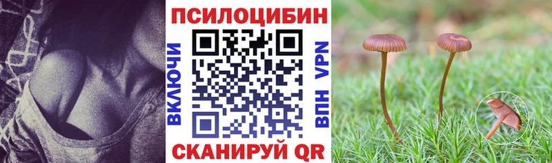 Галлюциногенные грибы Magic Shrooms  Находка 