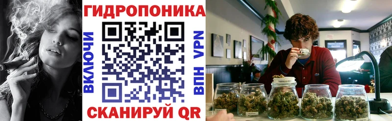 Каннабис Bruce Banner Находка